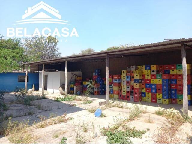 Sala para Venda em Porto Murtinho - 4